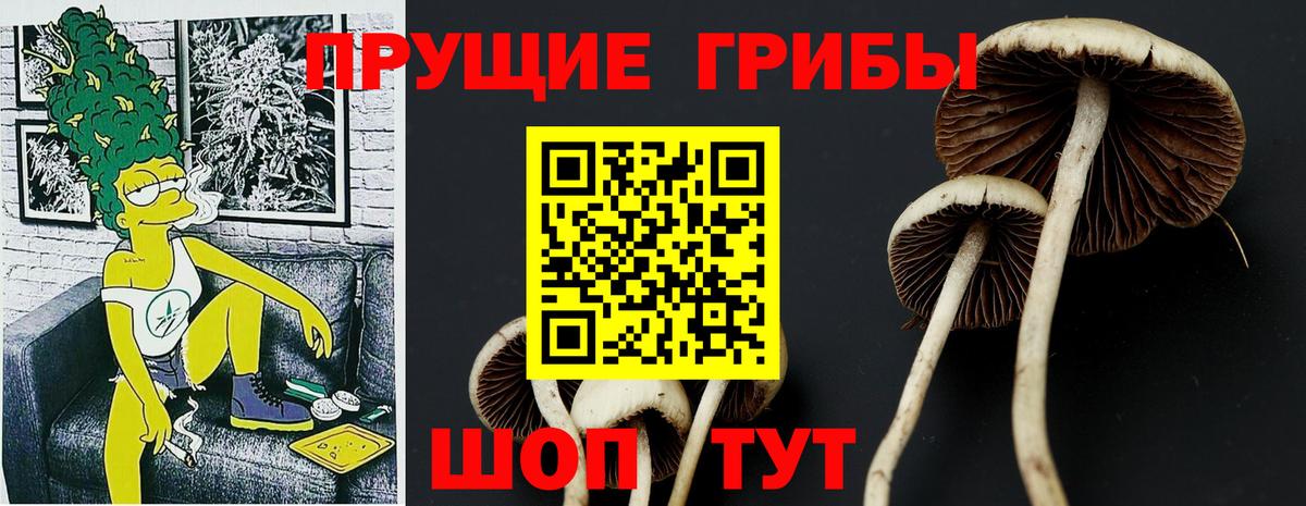 Галлюциногенные грибы мицелий  Вход с VPN  Чапаевск 